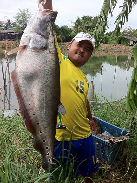 กรายคลอง.....หนองดินแดง