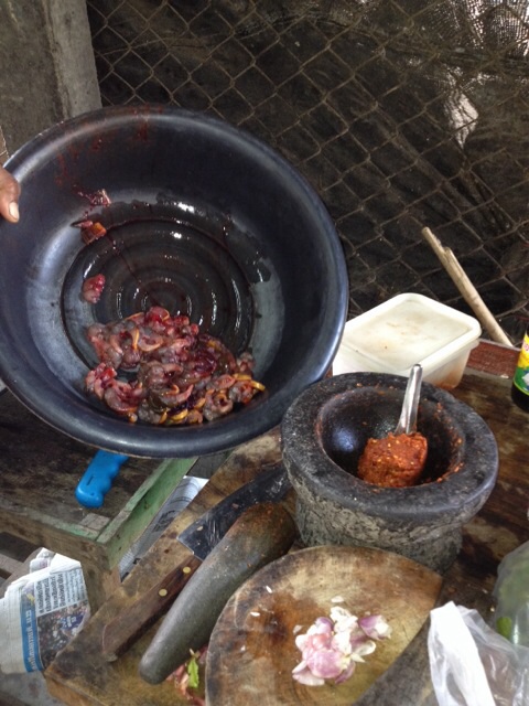 ผัดเผ็ดหนูนาปะทะผัดเผ็ดปลาไหล