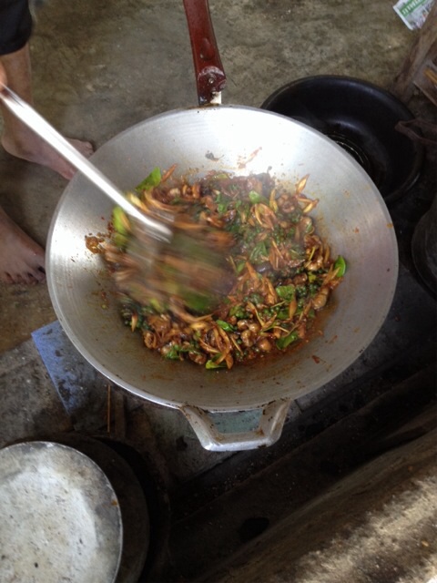 ผัดเผ็ดหนูนาปะทะผัดเผ็ดปลาไหล
