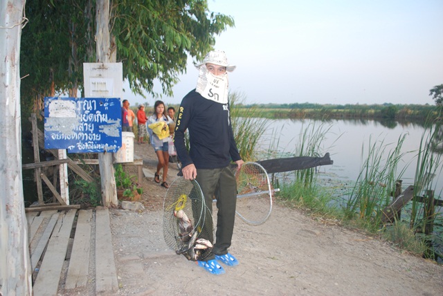 บ่อหนุ่มบางวัว (บ่อปลารวม) วันที่ 7,8 - 12 - 56