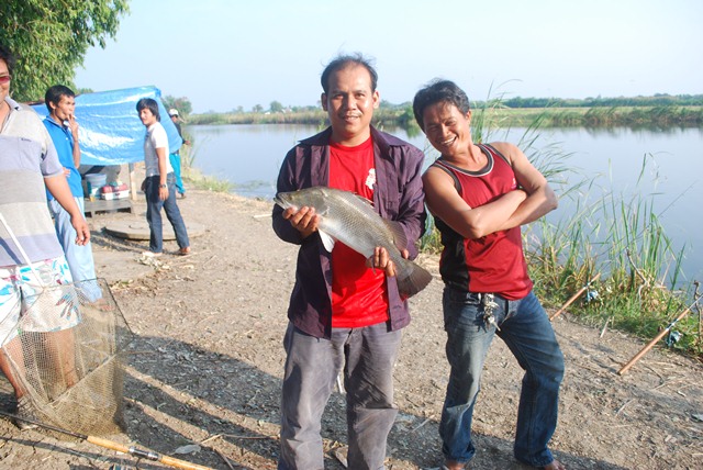 บ่อหนุ่มบางวัว (บ่อปลารวม) วันที่ 7,8 - 12 - 56