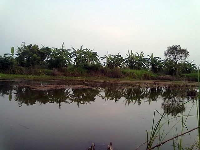 ^_^ เย็นเมื่อวาน...^_^