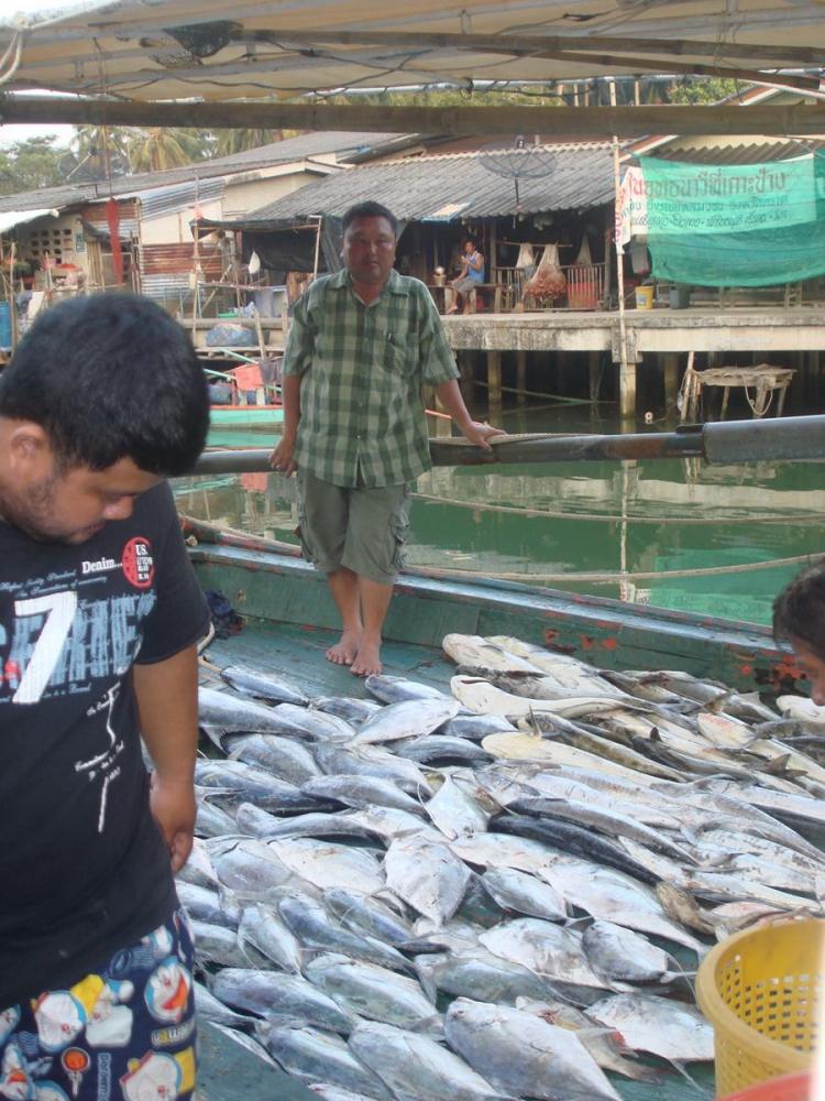 ทะเล..ตราดกับไต๋ หน่อย  แต่ปลาไม่หน่อยนะครับ