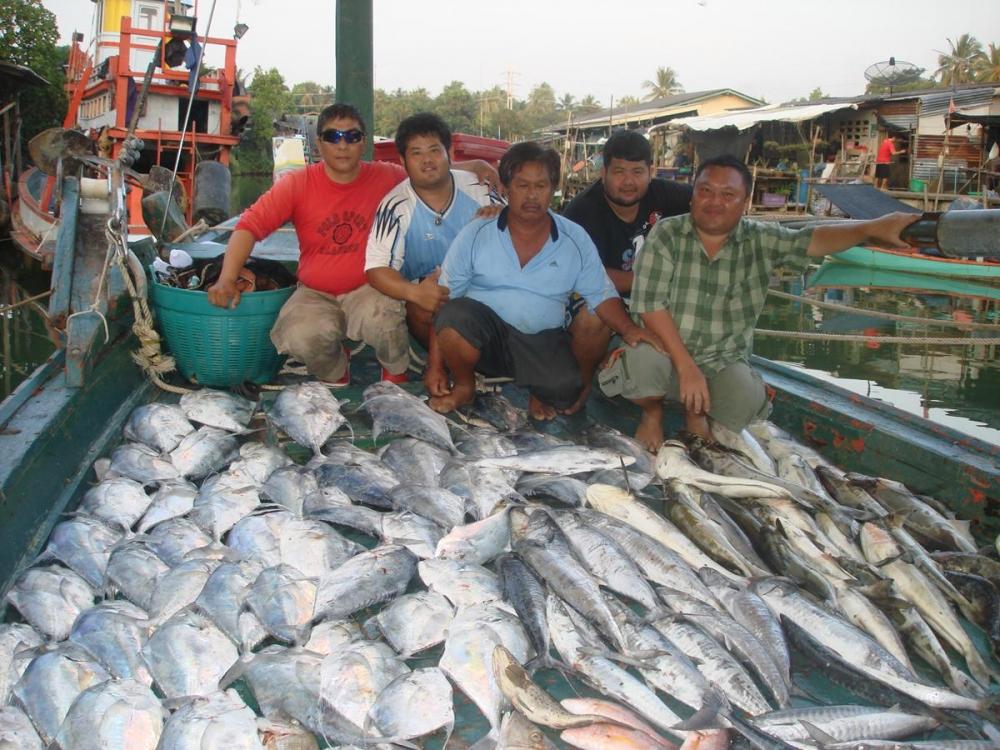 ทะเล..ตราดกับไต๋ หน่อย  แต่ปลาไม่หน่อยนะครับ