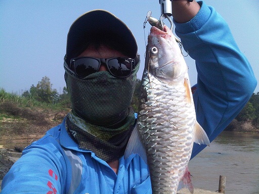 พบเพื่อนเก่า