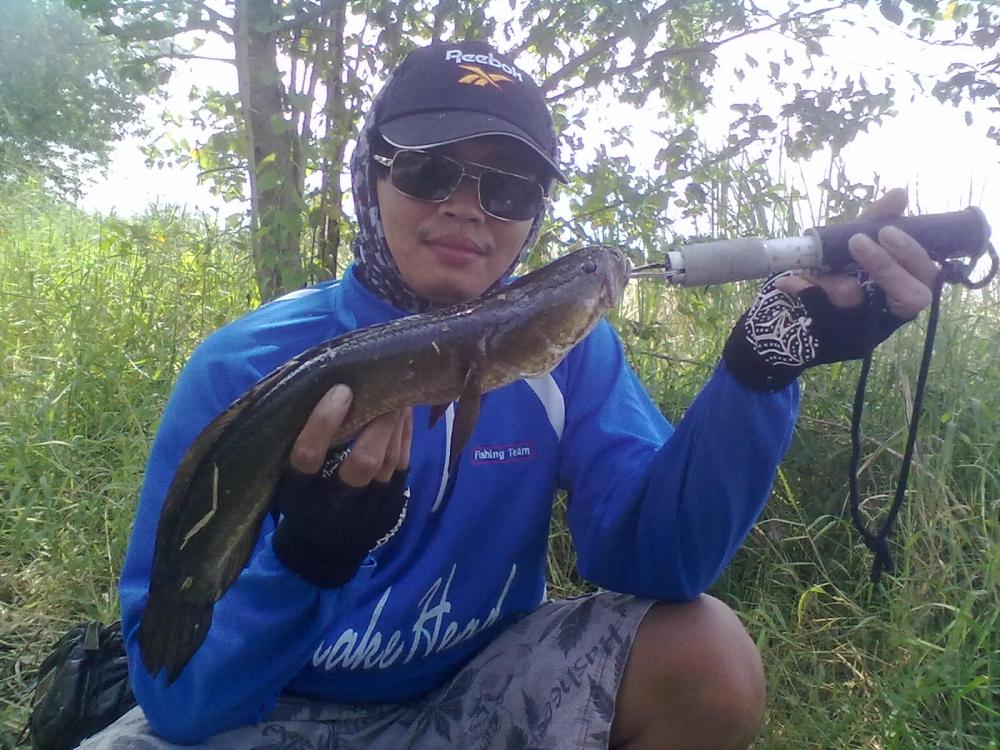 Snakehead Angler Club.ผลงาน กบกะโดด 100 C.C.