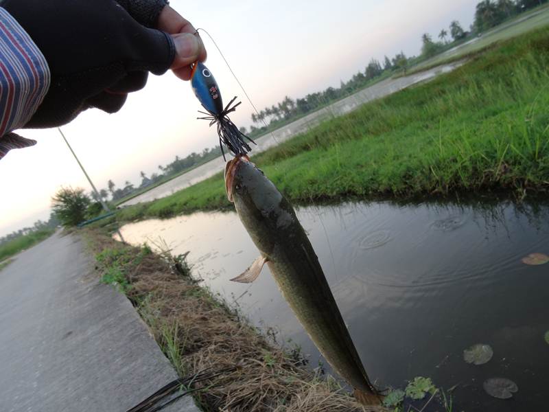 เล็ก..น้อย...ที่ยิ่งใหญ่