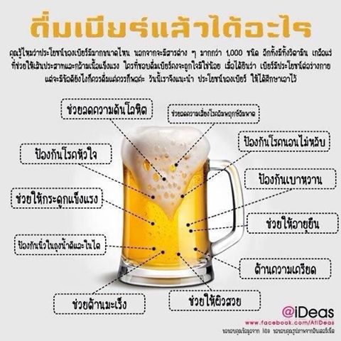 ประโยชน์ของเบียร์????