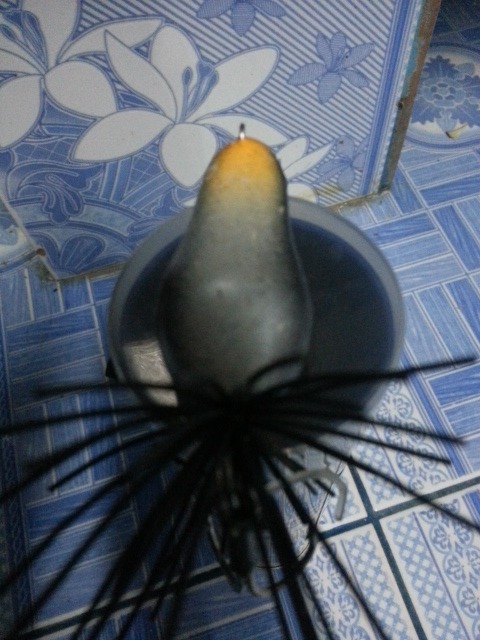 ลุยแหนเล่นๆซักตัว