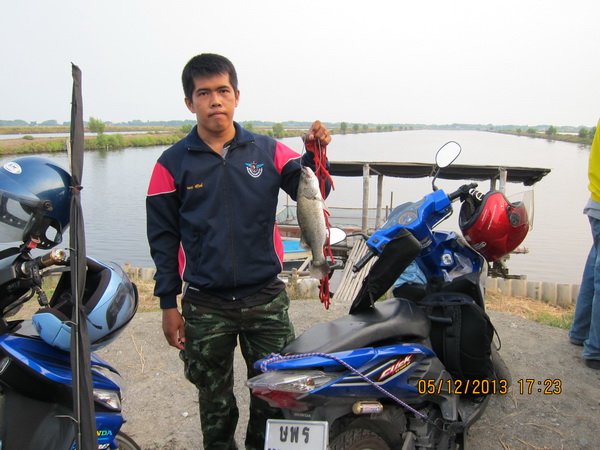 เก็บตก รวมภาพบ่อตกปลาน้องพลอย 1  วันที่ 5-12-56