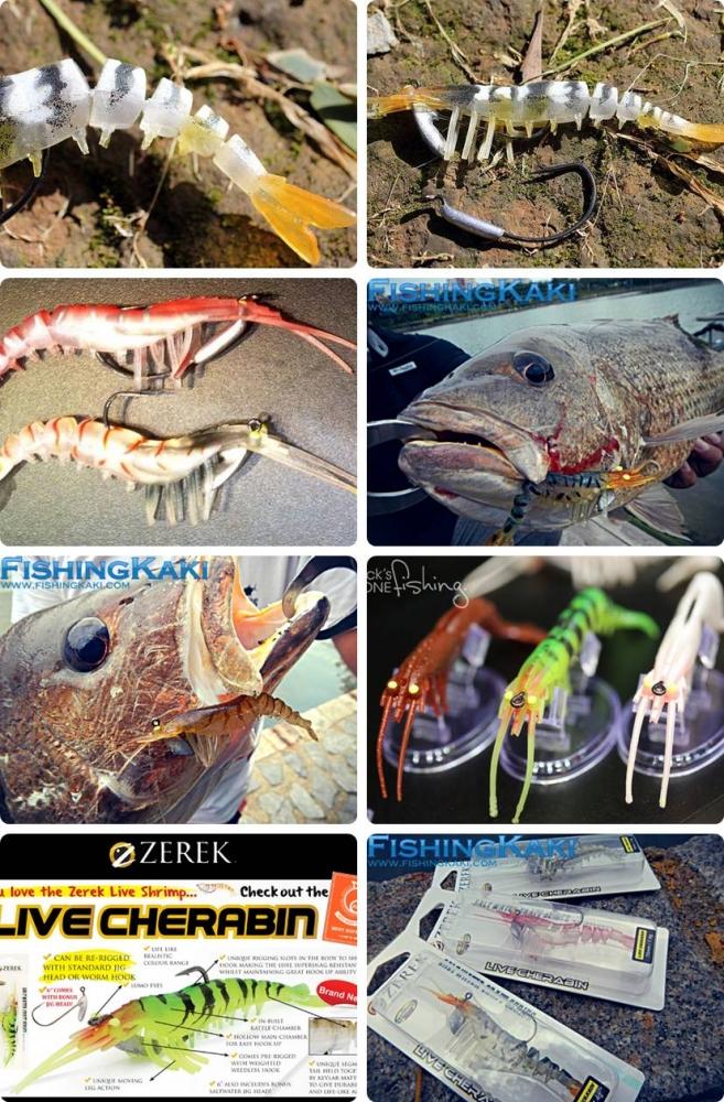 2014 กุ้งยาง zerek live cherabin แพ็คกิ้งจะเป็นแบบนี้