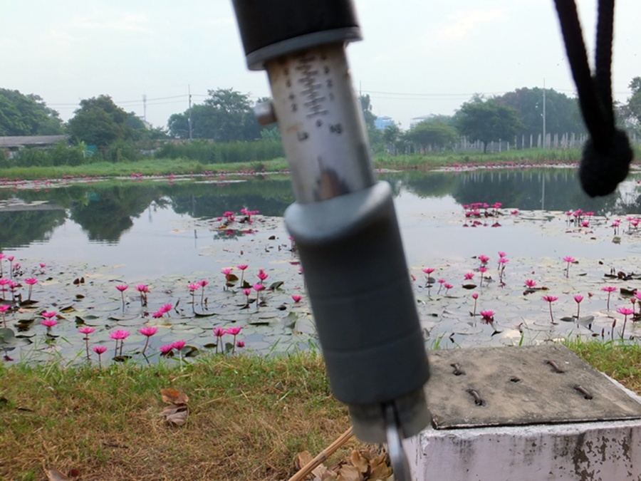 //////หนองบัวแดง//////