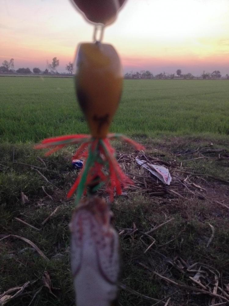 ช่อนข้างทาง...มันจัด...