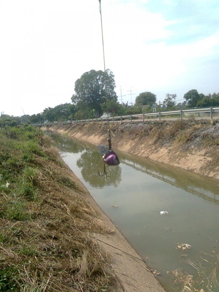 ***สะสมแต้ม***