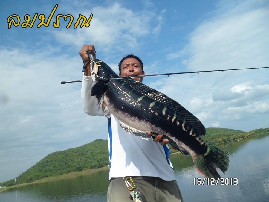 เฉลยหมายลับให้น้าตูนดู 