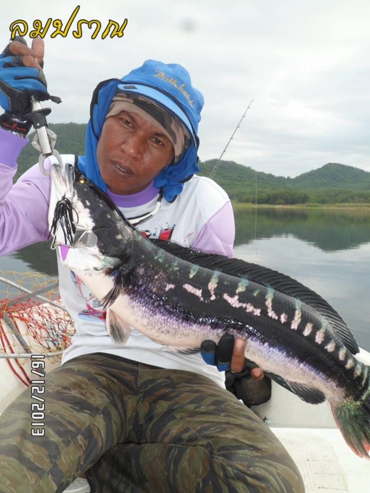 เฉลยหมายลับให้น้าตูนดู 
