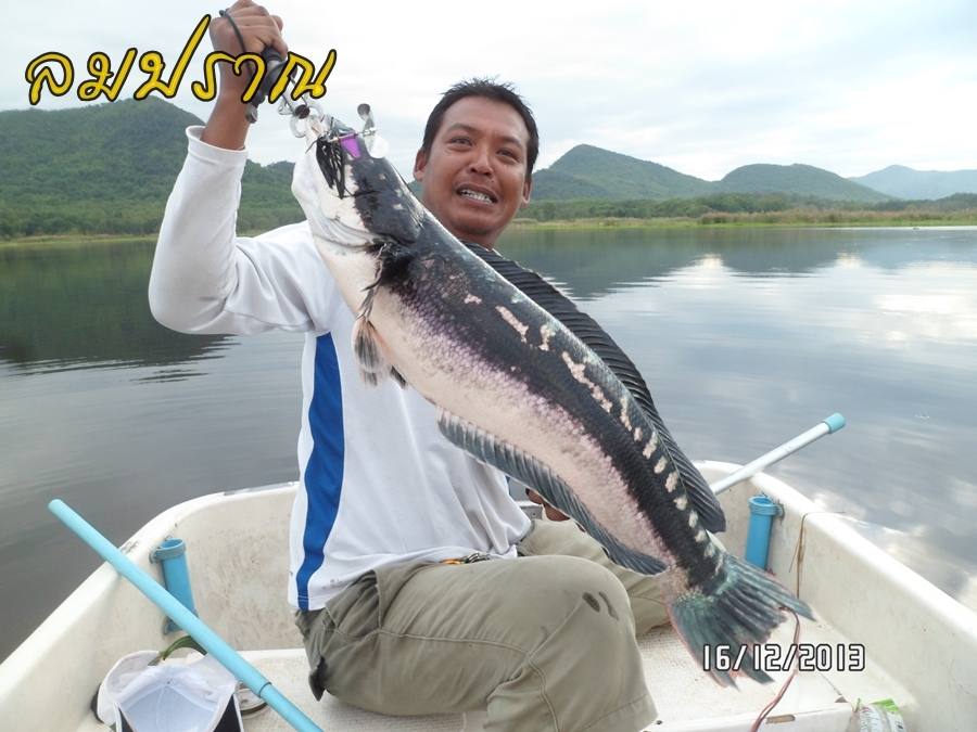 เฉลยหมายลับให้น้าตูนดู 