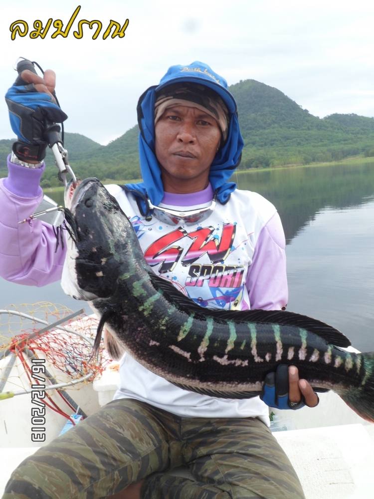 เฉลยหมายลับให้น้าตูนดู 