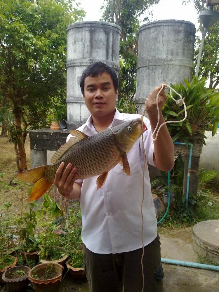 ทื้งเวลาทั้งวัน...