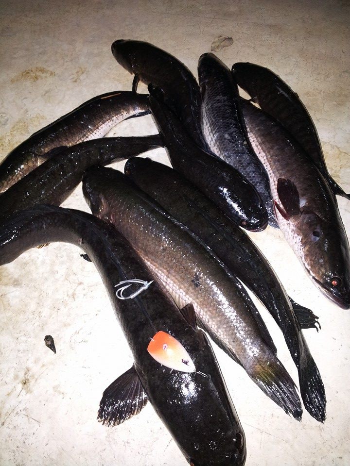 ซ้ำหมายเดิม วันที่ 3 แล้ว 
