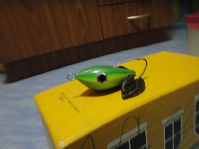 กบรุ่นใหม่ ของผม