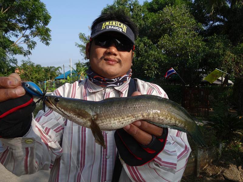 ความสุข...มีได้ทุกวัน