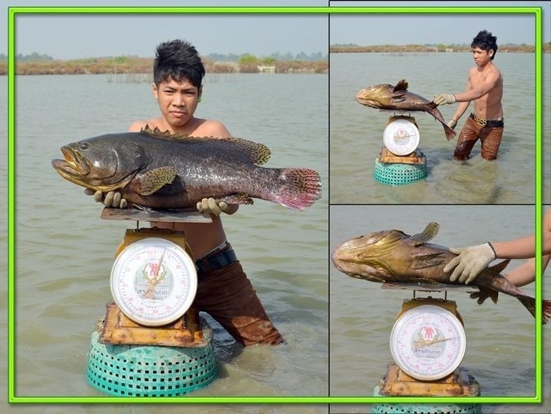 ขอเชิญนักตกปลาทุกท่าน..