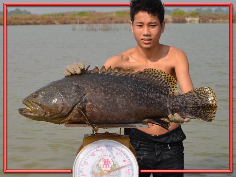 ขอเชิญนักตกปลาทุกท่าน..