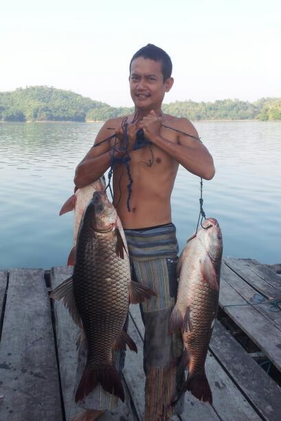 เก็บมา3ตัว50โลอัพค้บ