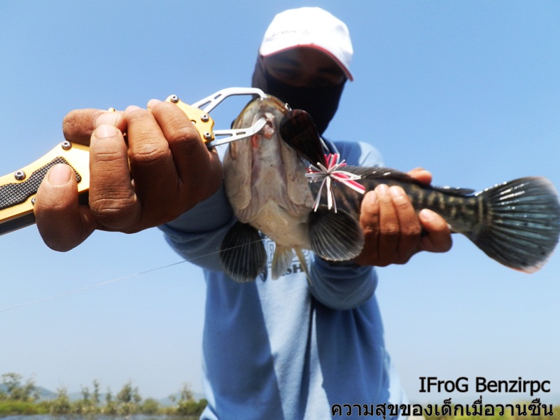 ไปลองเหยื่อกบคิ้ว I FroG มาคับ