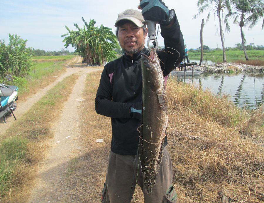 ช่อน......ข้างนา