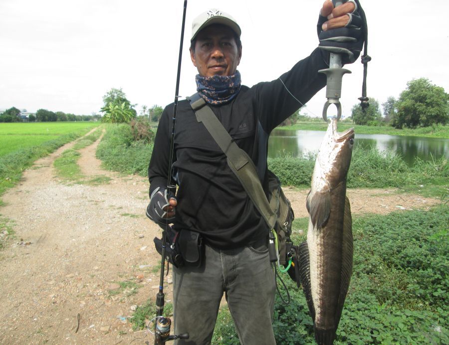 ช่อน......ข้างนา