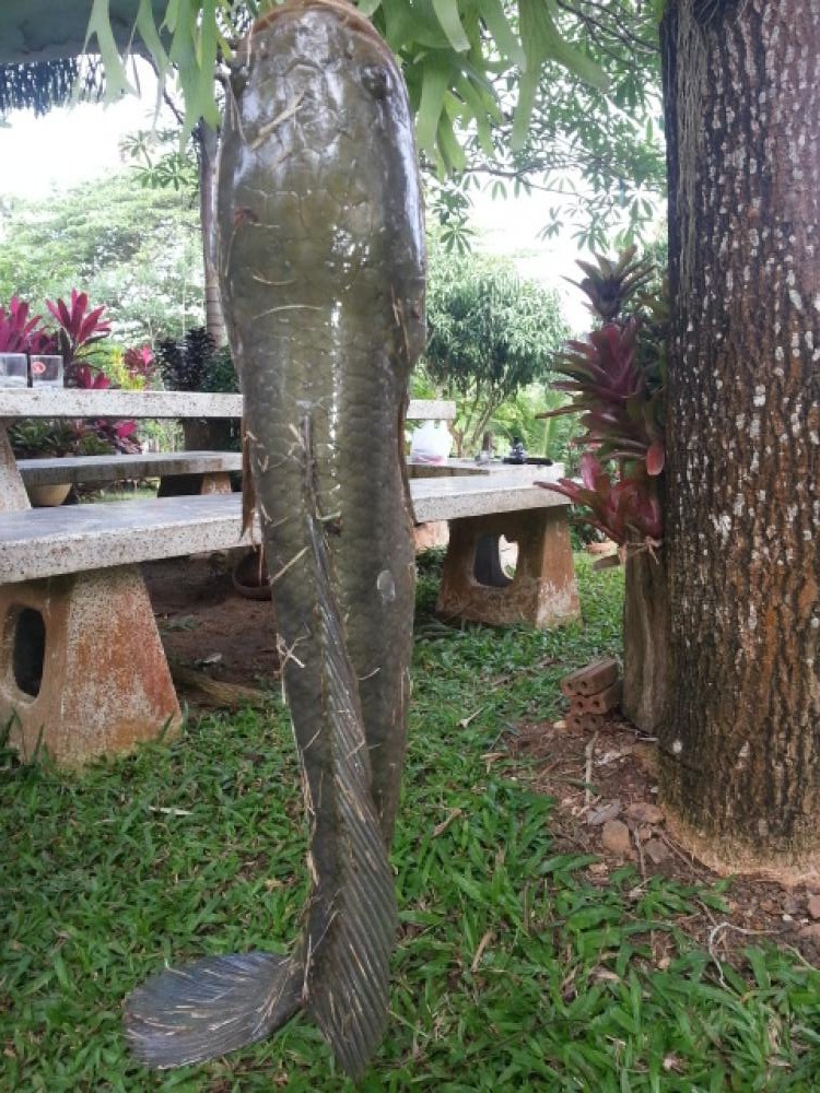 โทรฟี่ส่งท้ายปี