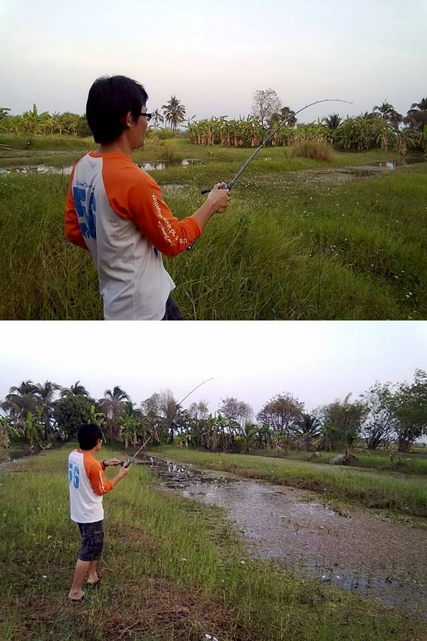 ^_^ สวัสดีปีใหม่ครับ...มีช่อนตัวอ้วนๆมาฝาก..^_^