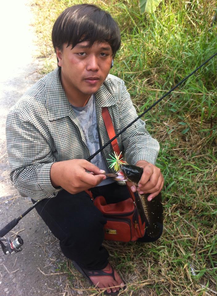 ผลงานNat รังสิต