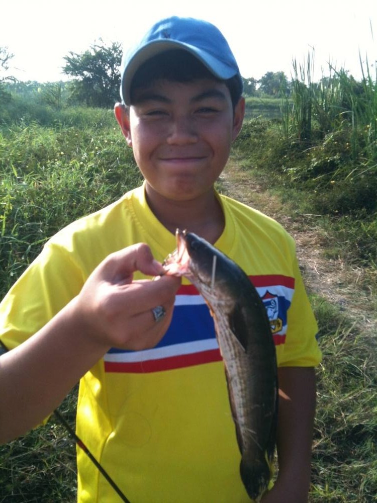 เดิม เดิม