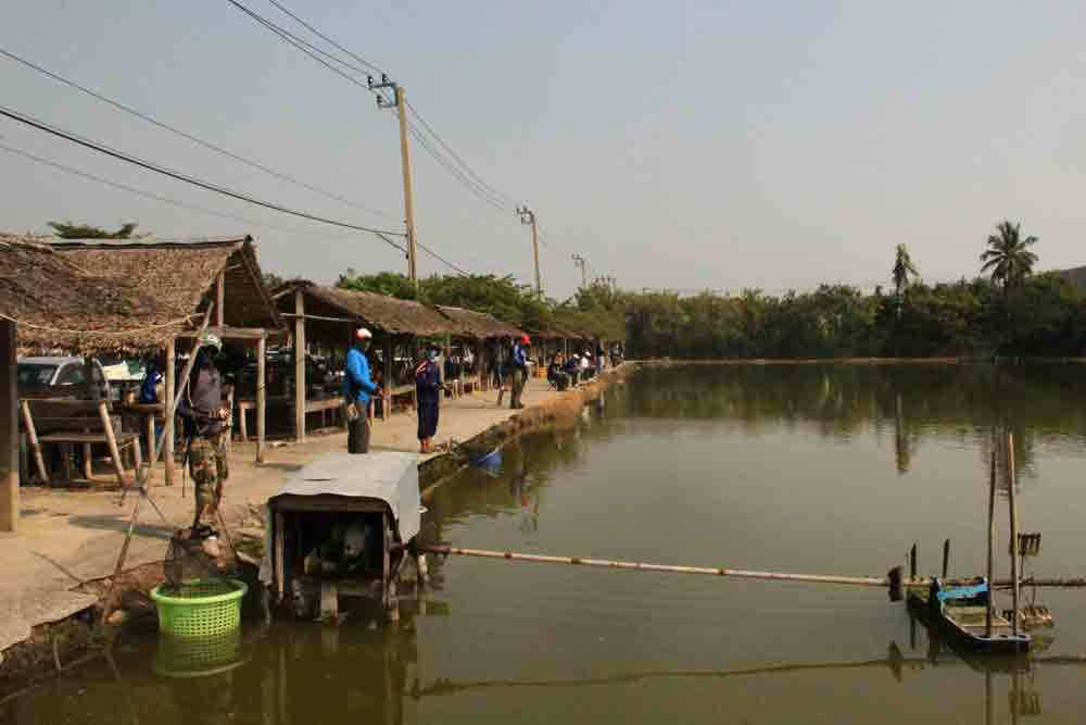 ...JJ Fishing เสาร์ที่ 4/01 ทีผ่านมาคับ....