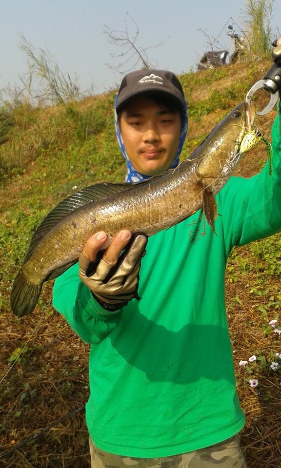 ปลาช่อนยามเช้ากับปลานิลผิดคิว