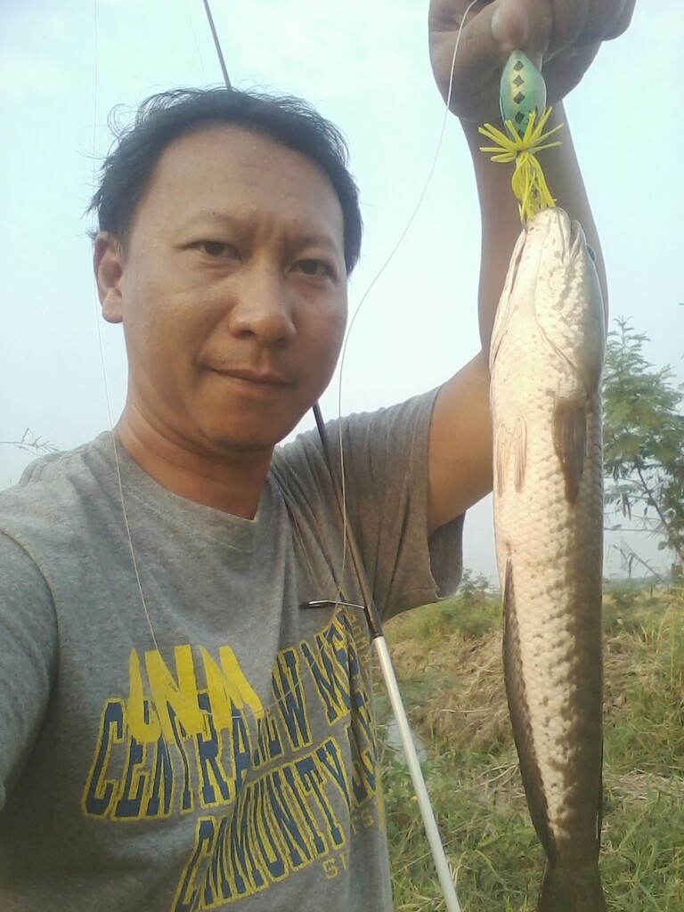 ส่าย 1 โดด 1