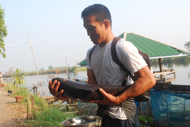 บ่อตกปลาหนุ่มบางวัว (บ่อปลารวม)ที่ 4.5-01-57