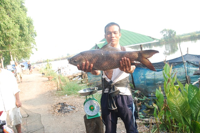 บ่อตกปลาหนุ่มบางวัว (บ่อปลารวม)ที่ 4.5-01-57