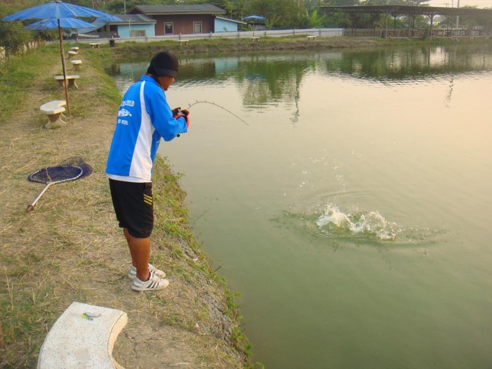 ลองเปลี่ยนแนวลงบ่อบ้าง SnakeHead Angler Club