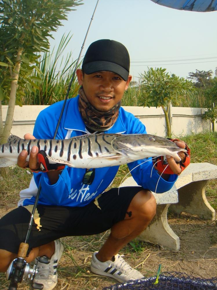 ลองเปลี่ยนแนวลงบ่อบ้าง SnakeHead Angler Club