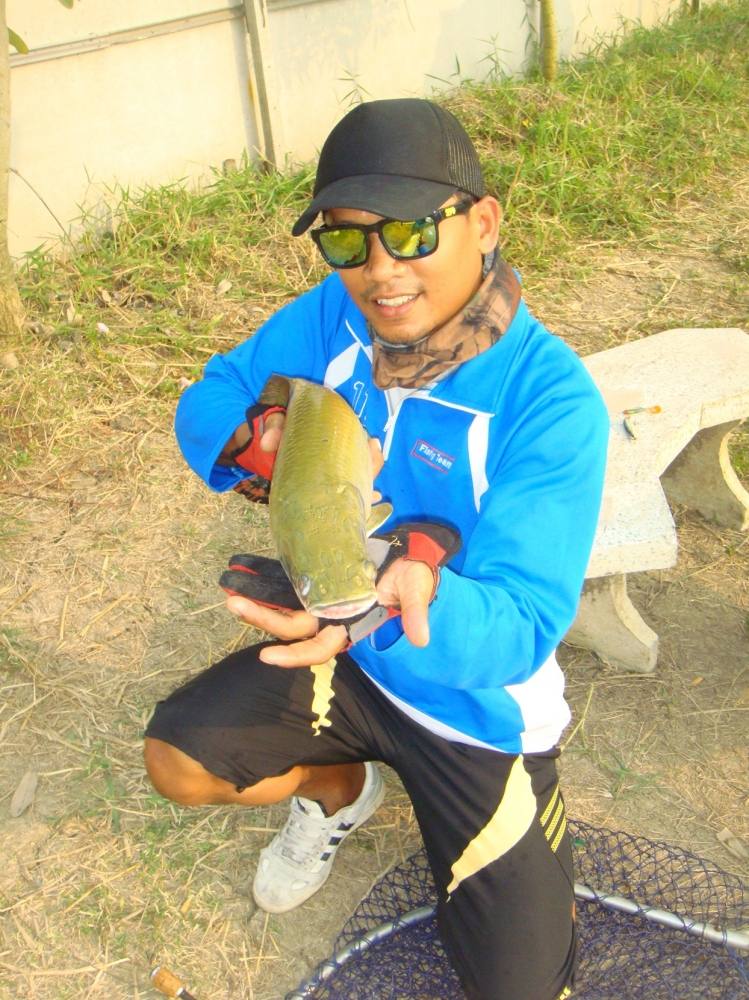 ลองเปลี่ยนแนวลงบ่อบ้าง SnakeHead Angler Club
