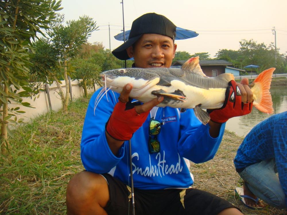 ลองเปลี่ยนแนวลงบ่อบ้าง SnakeHead Angler Club