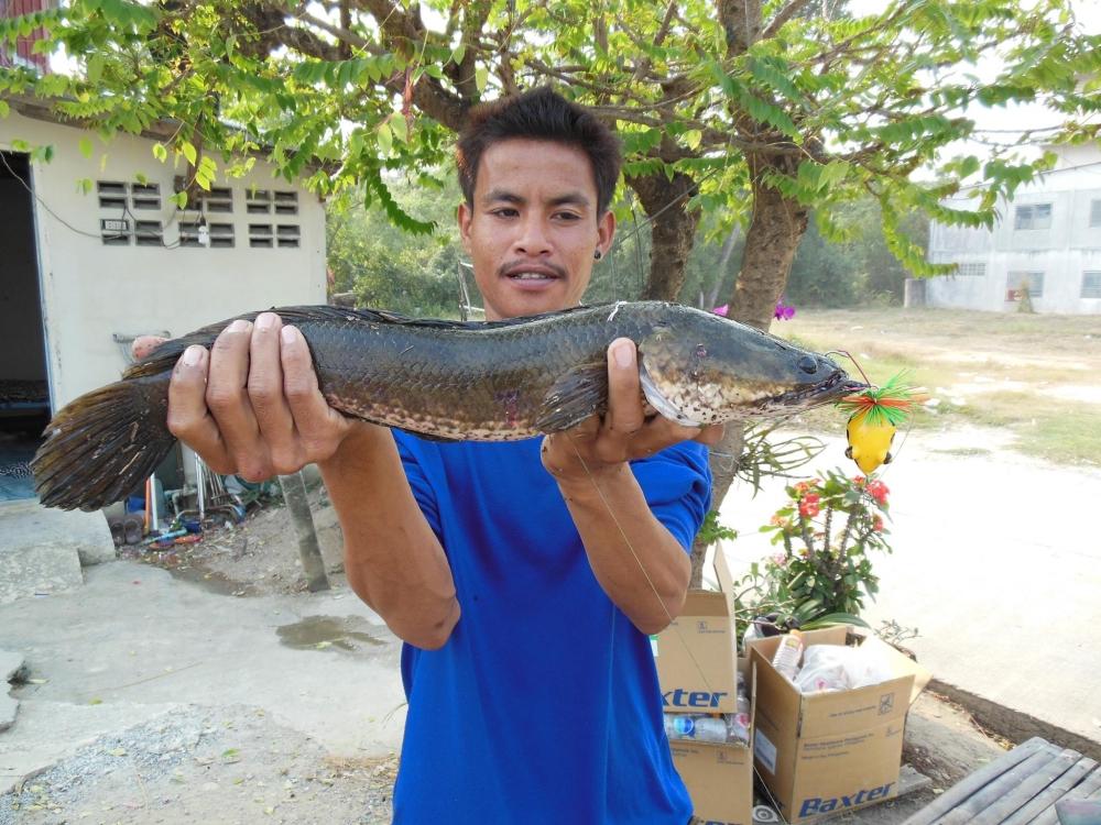 เริ่มต้นได้ดีกับปีนี้