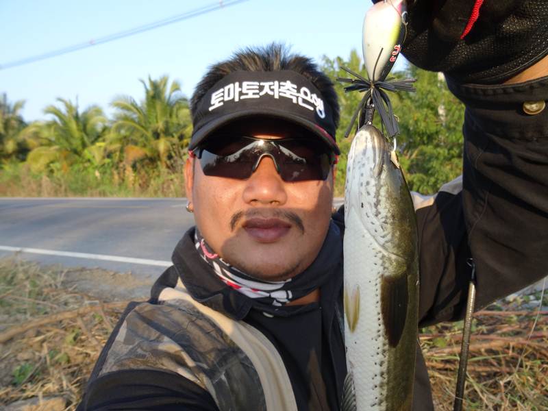กบ"กัตจัง" พาเพลิน