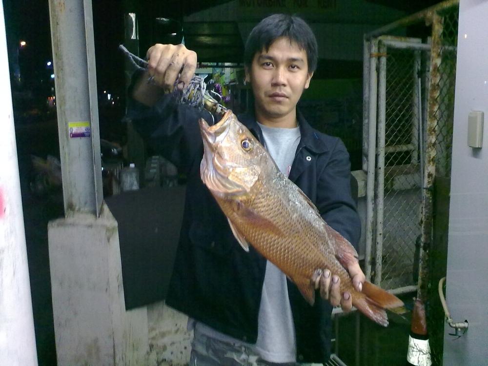 เฝ้าตอม่อมาครับ