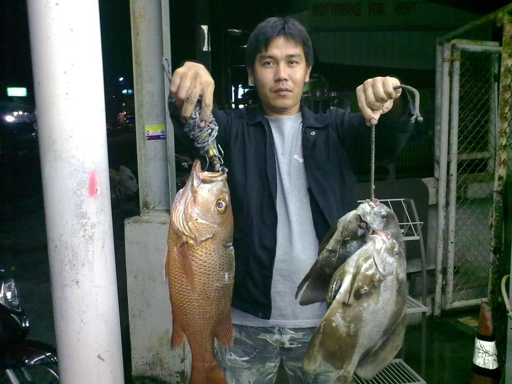 เฝ้าตอม่อมาครับ