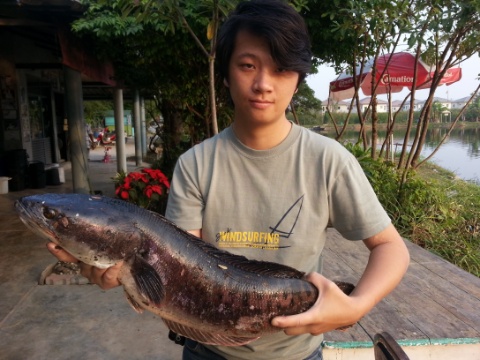 ของสวยงามท้ายบ่อ บึงบึก